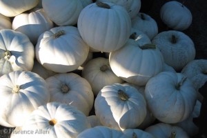 Ghost Pumpkins