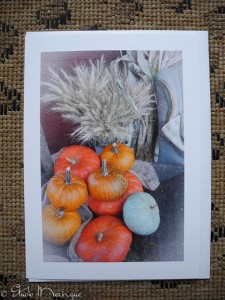 Pumpkins and Wheat, Autumn at Vintage Roost